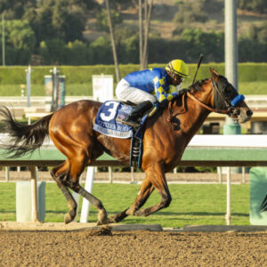 Irish Derby - Table for 10